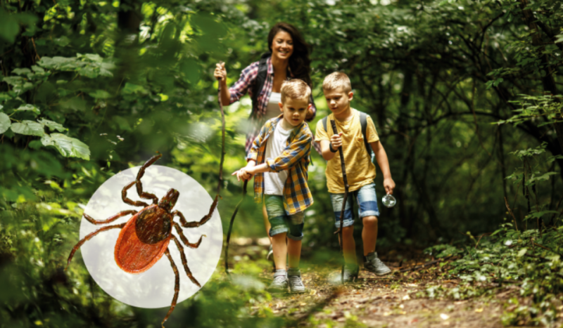 Atlaides sadarbībā ar www.maniveselibasdati.lv 